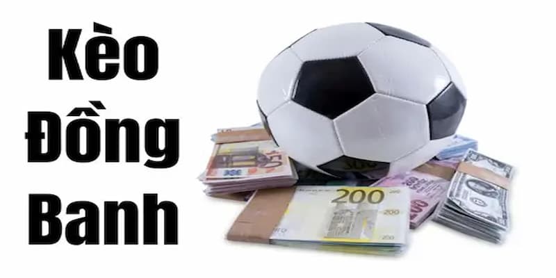 Tham gia các diễn đàn cá cược để thu thập thông tin